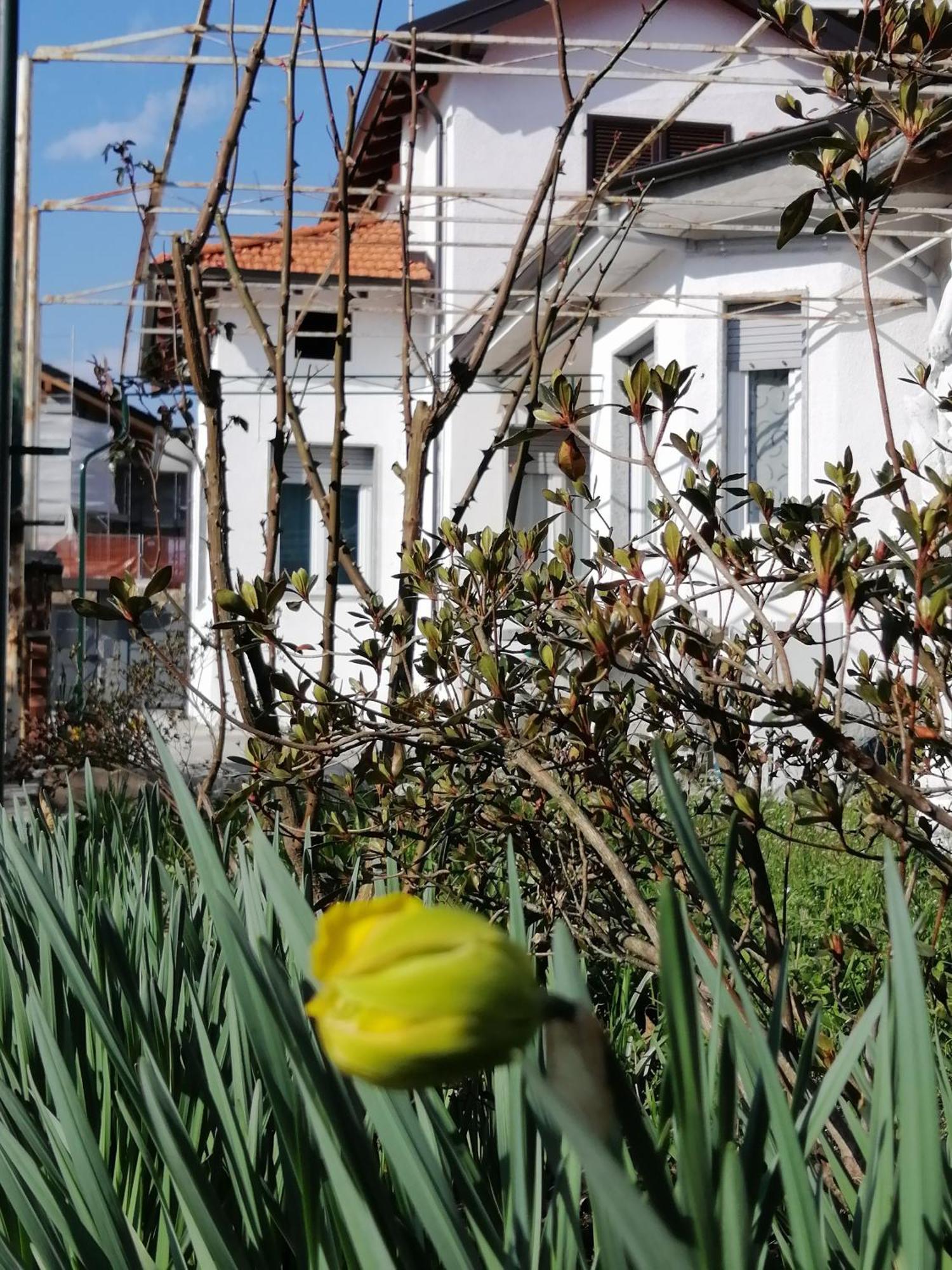 Casa Vacanze Terra Di Mezzo Invorio Inferiore Εξωτερικό φωτογραφία